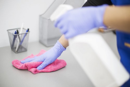 Professional deep cleaning of kitchen surfaces and fixtures