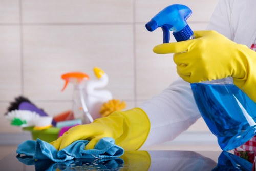 Bermondsey deep cleaning service improving a home interior with thorough attention
