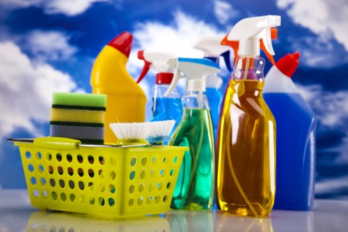 Professional cleaning company serving Bermondsey homes