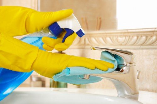 Eco-friendly cleaners in Bermondsey using safe cleaning products