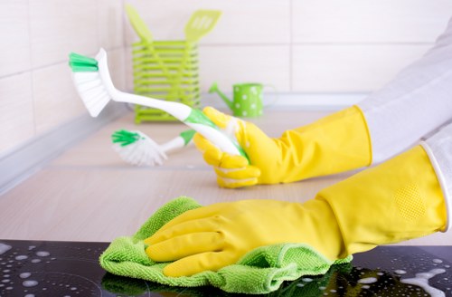 Deep house cleaning in Bermondsey bathroom hygiene and maintenance