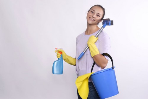Eco-friendly office cleaners maintaining Bermondsey commercial premises