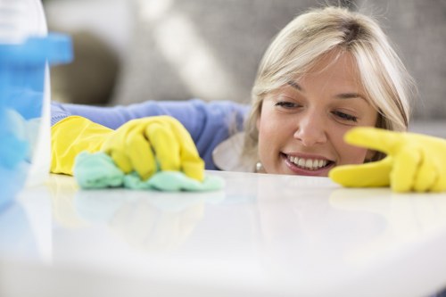 Deep cleaning support for a Bermondsey home with detailed surface care
