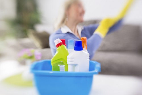 Professional cleaner revisiting a room to correct an issue