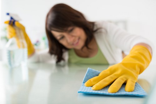 Professional carpet cleaner in Bermondsey preparing deep cleaning equipment