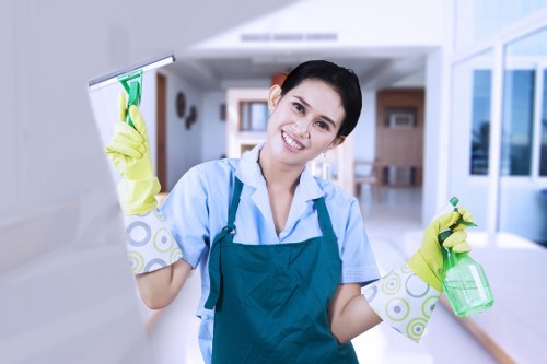 Regular domestic cleaning in Bermondsey for a modern family home